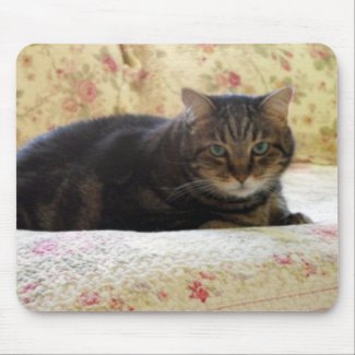 Ames mousepad