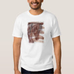 Amethyst Horse On Chocolate Wash T Shirt