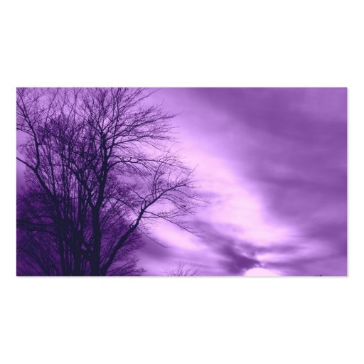 Amethyst Skies Business Cards (back side)