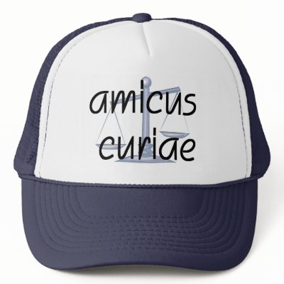 Amicus Curiae Judge Hat by lawyertshirts