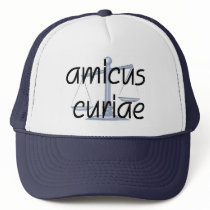 Amicus Curiae Judge Hat