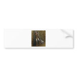 Amidea V6 Bumper Stickers