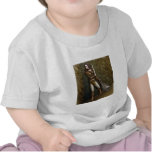 Amidea V6 Tees