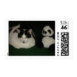 Amigos del gato y de la panda franqueo