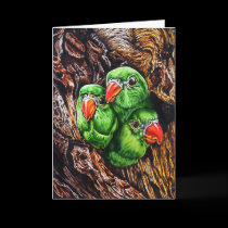Amigo's greeting card cards