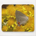 AMILDA'S GRAY HAIRSTREAK mousepad