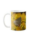 AMILDA'S GRAY HAIRSTREAK mug