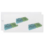 Amin as Am Americium  and In Indium Rack Cards