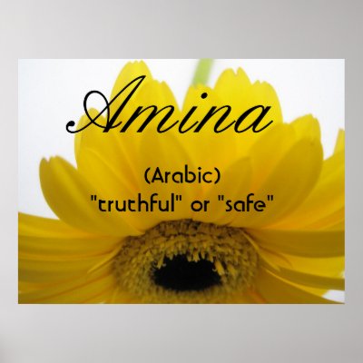 Amina Print by lollypopgirrrl