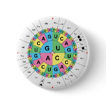 Amino Acid Base Sequence Table Diagram Pin