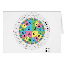 Amino Acid Base Sequence Table Diagram Greeting Cards