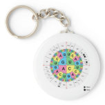 Amino Acid Base Sequence Table Diagram Key Chains