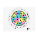 Amino Acid Base Sequence Table Diagram Postcards