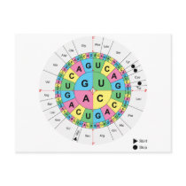 Amino Acid Base Sequence Table Diagram Postcards