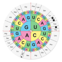 Amino Acid Base Sequence Table Diagram Round Stickers