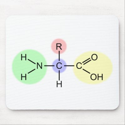 Amino Acid Diagram Mousepads by BUSHWICK