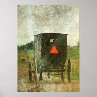 Amish 2 print
