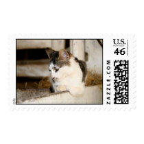 "Amish Barn Cat" Stamp