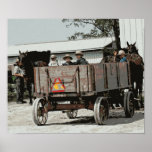 Amish Boy Waves Poster