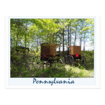 Amish Buggies Postcards