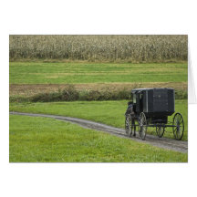 Amish buggy on farm lane, Northeastern Ohio, Greeting Cards