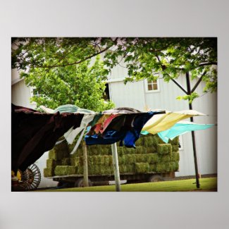 Amish Clothes Line and Hay Wagon Poster