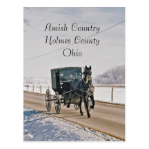 Amish Country Horse and Buggy-Postcard