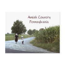 Amish Country Pennsylvania PA postcards