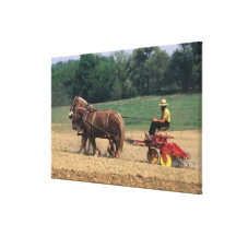 Amish Country simple people in farming with Canvas Print