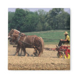 Amish Country simple people in farming with Fridge Magnets