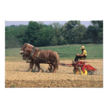 Amish Country simple people in farming with Art Photo