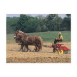 Amish Country simple people in farming with Post Cards