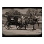 Amish Country Sugarcreek,Ohio Postcard