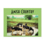 Amish Cows Postcard
