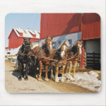 Amish Draft Horses at Barn-Mousepad mousepad