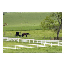 Amish farm with horse and buggy near Berlin,