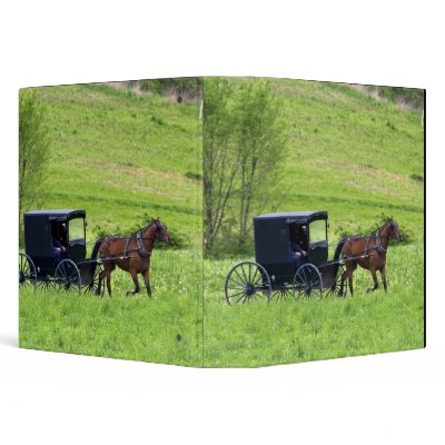 Amish horse and buggy near Berlin, Ohio. Binder by danitadelimont