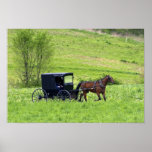 Amish horse and buggy near Berlin, Ohio.