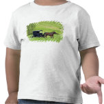 Amish horse and buggy near Berlin, Ohio. Tees