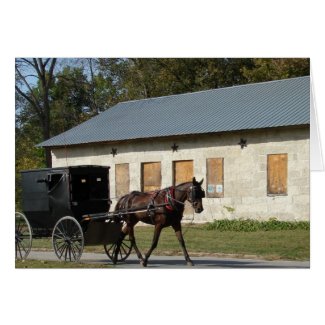 Amish Horse in Bentonsport, Iowa Greeting Card