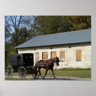 Amish Horse print