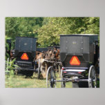 Amish Horses and Buggies Print