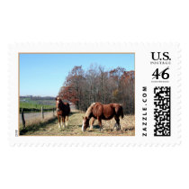 Amish Horses postage by terjdw Amish Horses postage