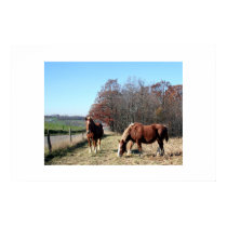 Amish Horses posters by terjdw Amish Horses posters
