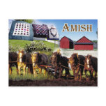 Amish Life in Lancaster, Pennsylvania Post Card