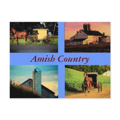 Amish Montage Postcard by RickDouglas