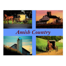 Amish Montage Postcard