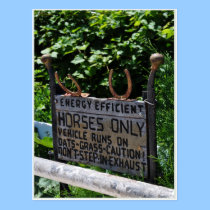 Amish Parking postcards