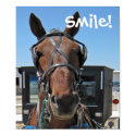 Amish Smile posters by archemedes Amish Smile posters
