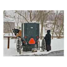 Amish Woman With Horse and Buggy-Postcard